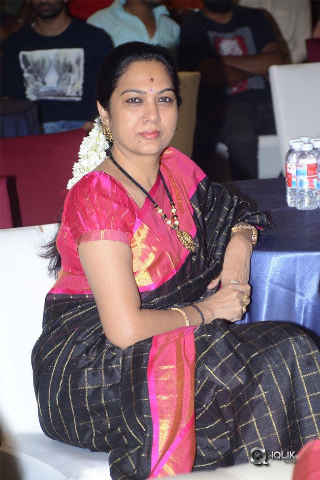 Ammammagarillu-Movie-Successmeet